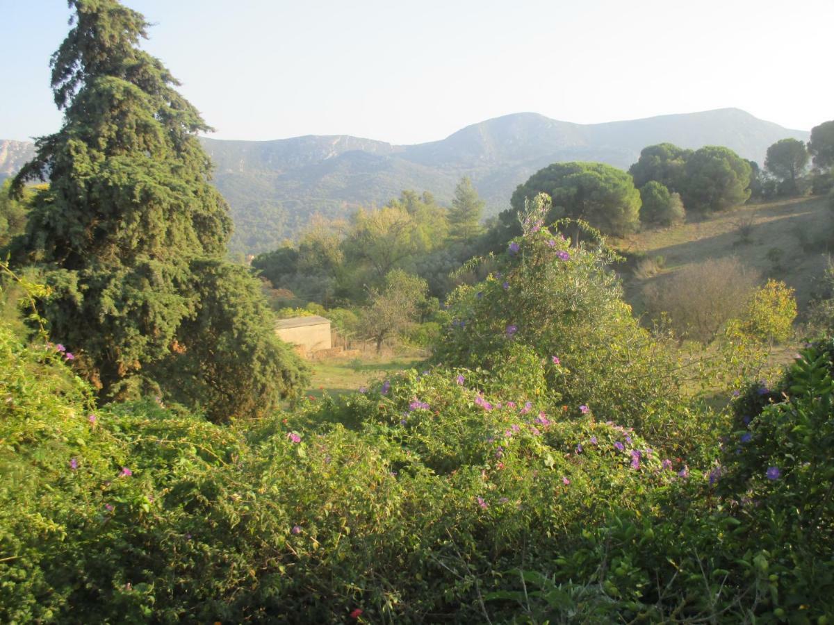 Coin De Paradis Quinta do Anjo Esterno foto